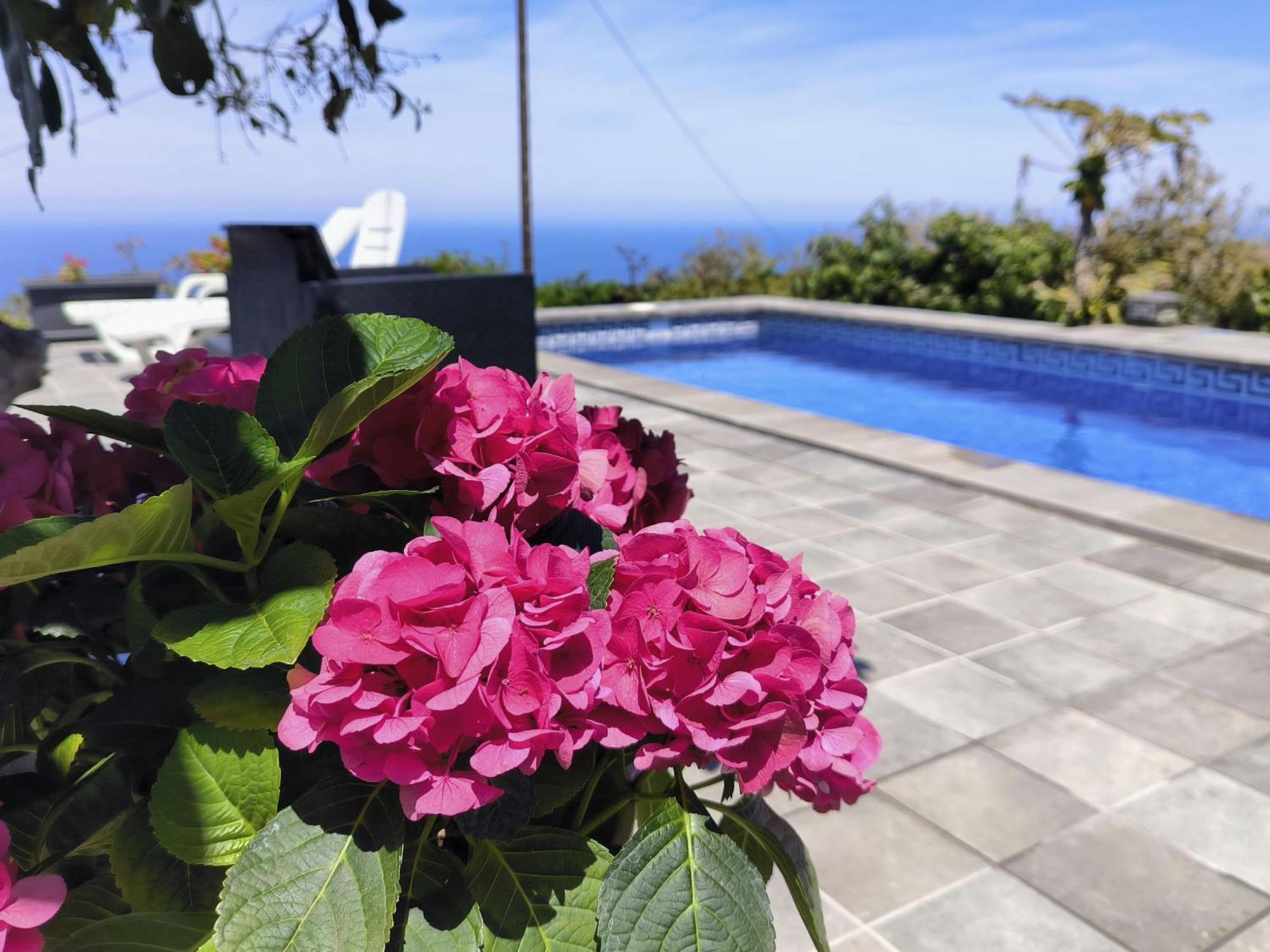 Apartamentos Guayonje Costa Santa Cruz de Tenerife Ngoại thất bức ảnh