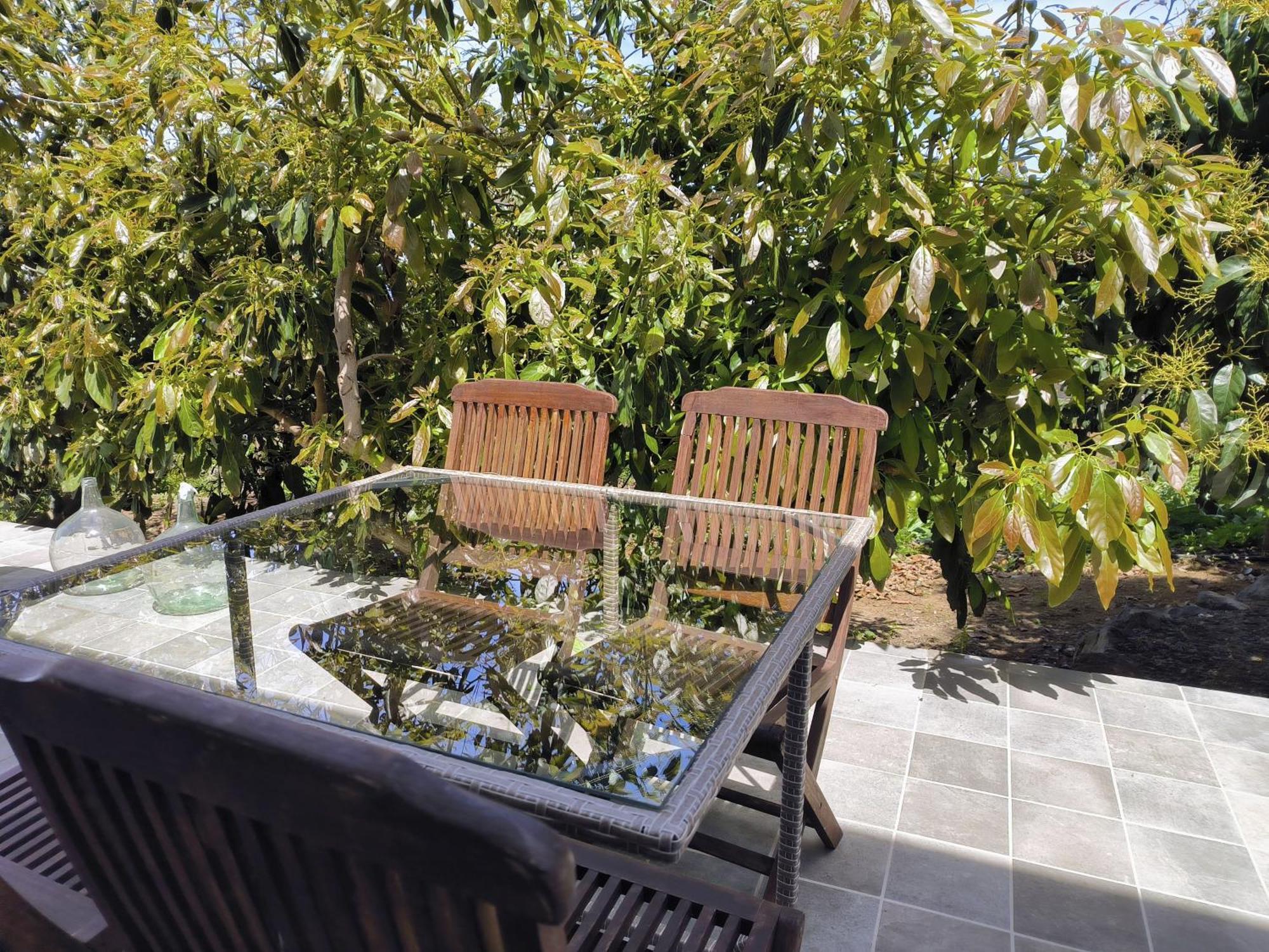 Apartamentos Guayonje Costa Santa Cruz de Tenerife Ngoại thất bức ảnh