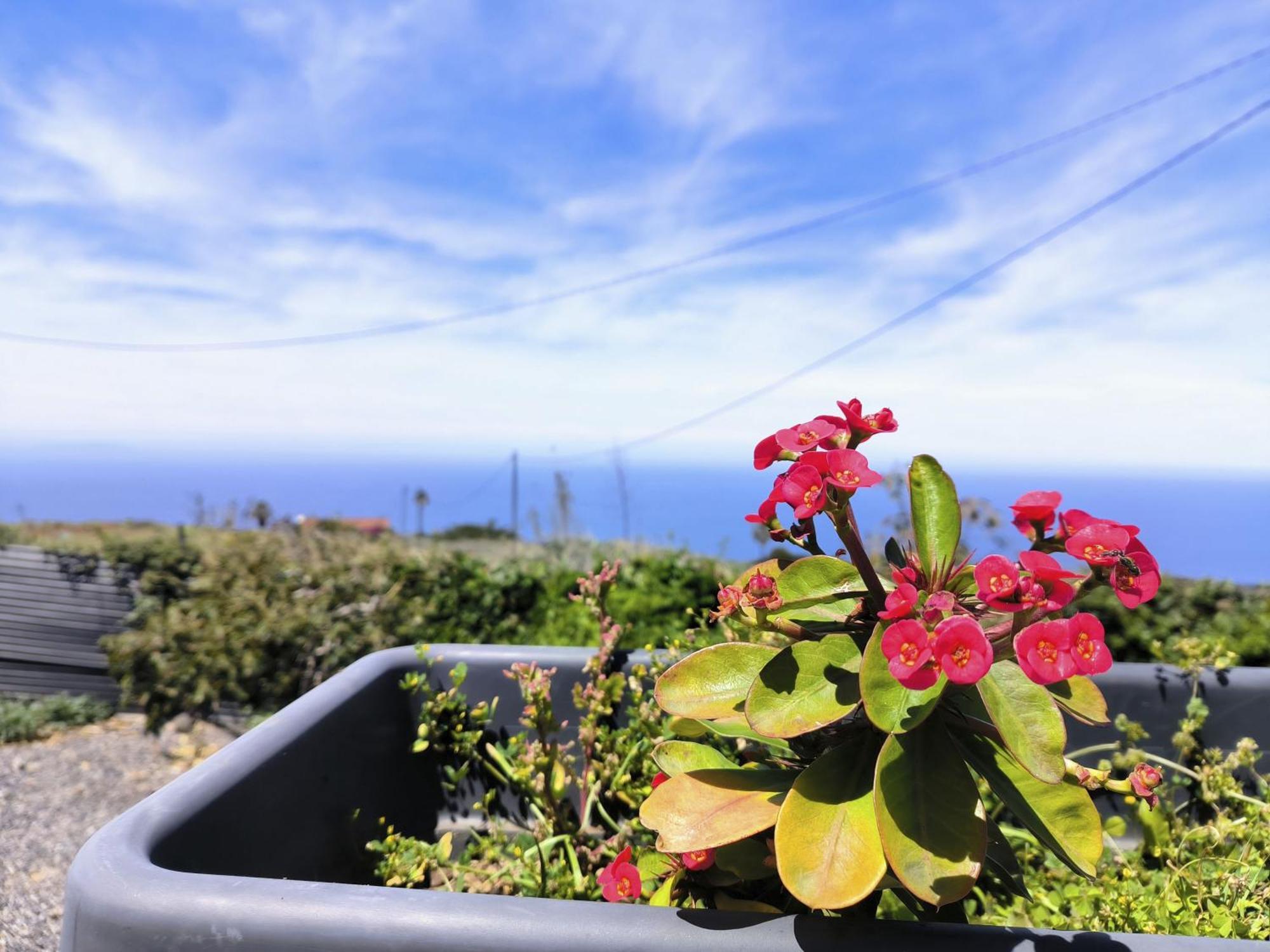 Apartamentos Guayonje Costa Santa Cruz de Tenerife Ngoại thất bức ảnh