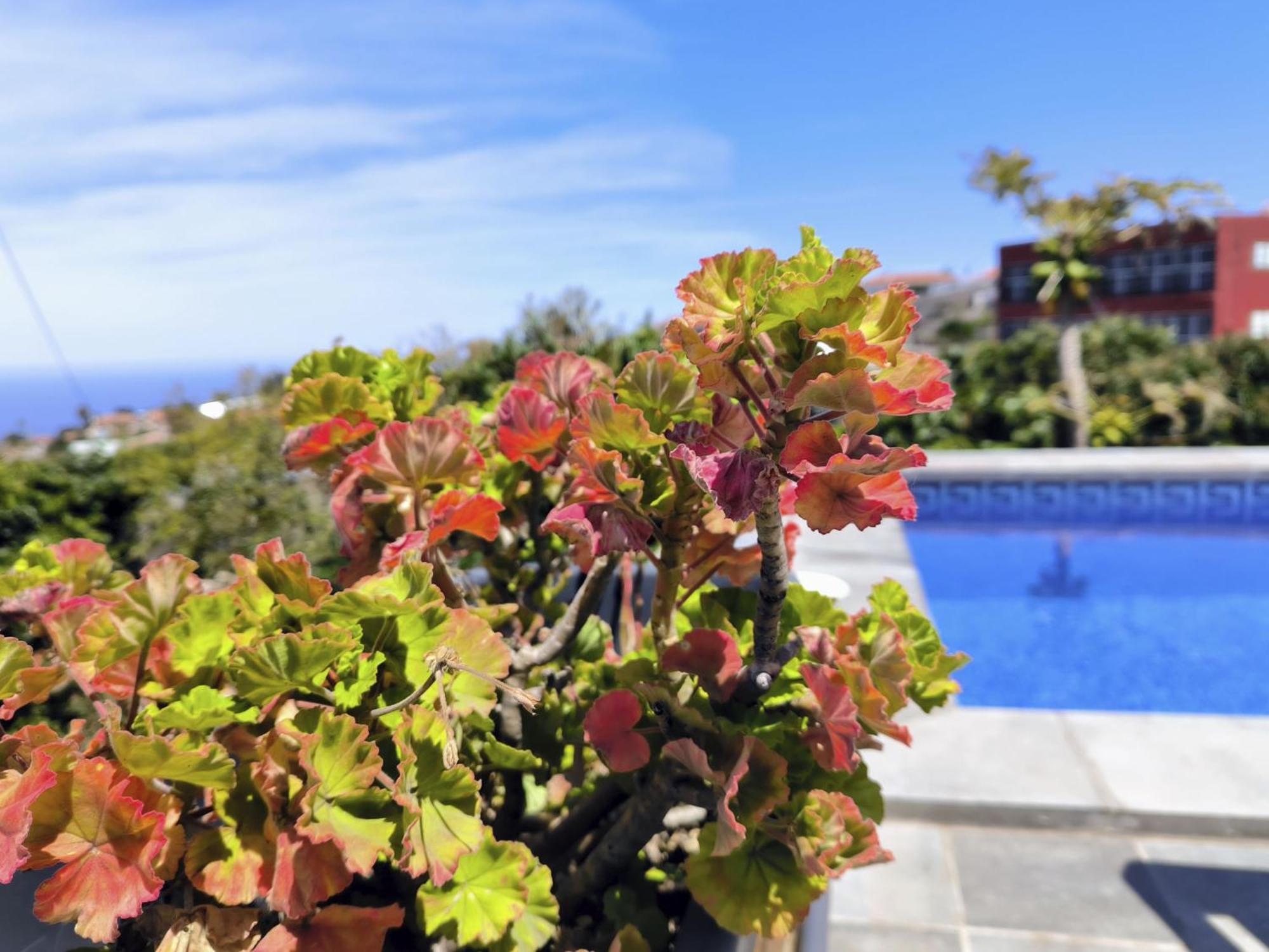 Apartamentos Guayonje Costa Santa Cruz de Tenerife Ngoại thất bức ảnh